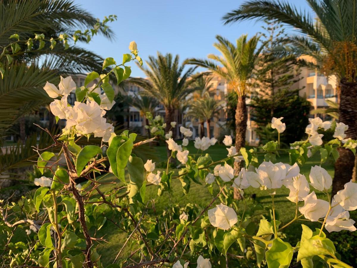Hasdrubal Thalassa & Yasmine 5* Hammamet